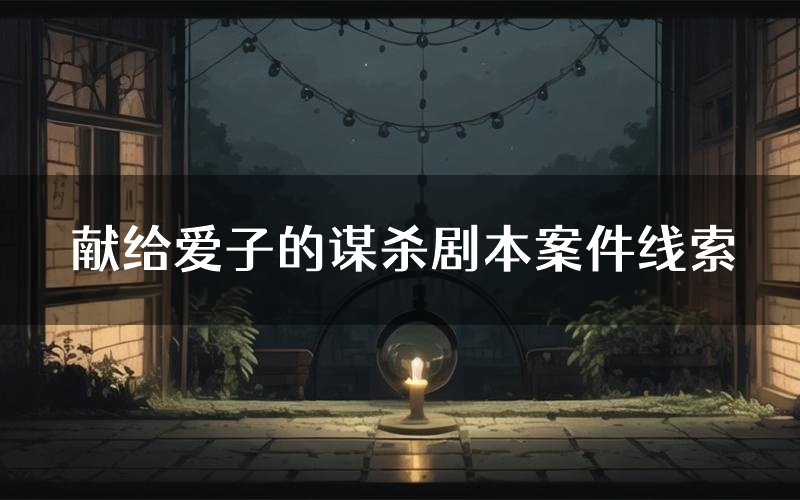 献给爱子的谋杀剧本案件线索(献给爱子的谋杀结局故事复盘)