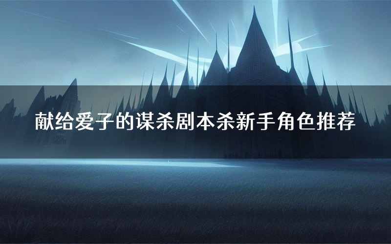 献给爱子的谋杀剧本杀新手角色推荐(献给爱子的谋杀凶手位是谁)