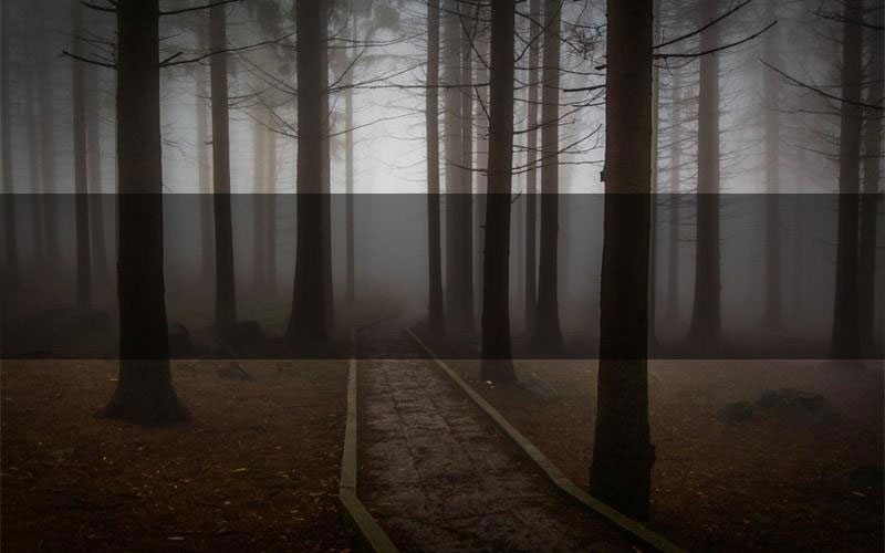 水袖情解析疑点推理（水袖情新本亮点）