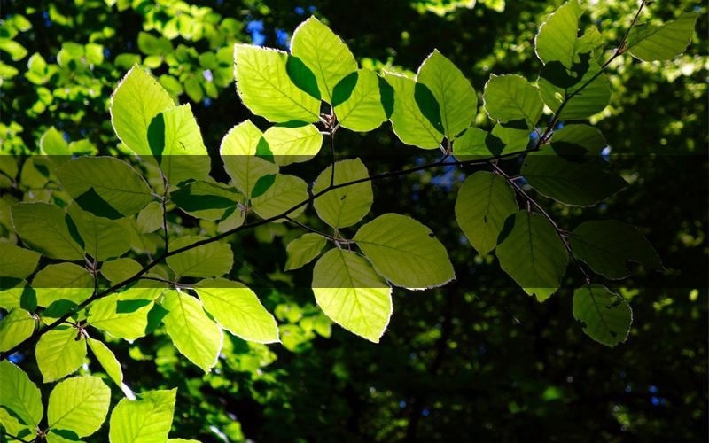 极策·烁迦罗心新本案件攻略(极策·烁迦罗心真相推理要点)