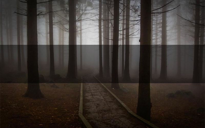 灵魂序列剧本杀测评解析(灵魂序列凶手任务剧透)