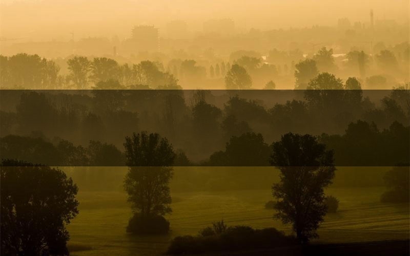 诅家庄解析疑点推理（诅家庄新本亮点）