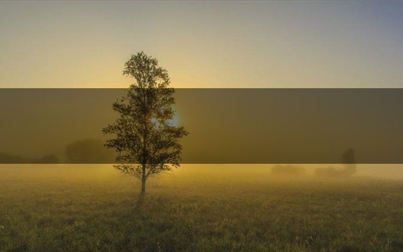 极道之王：东都篇剧本杀新手角色推荐（极道之王：东都篇凶手位是谁）