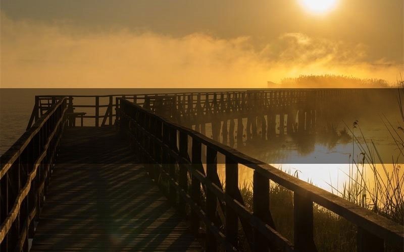 精生白骨剧本案件线索（精生白骨结局故事复盘）