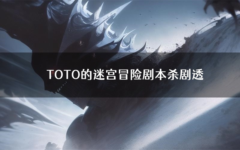 TOTO的迷宫冒险剧本杀剧透(TOTO的迷宫冒险角色CP测评)