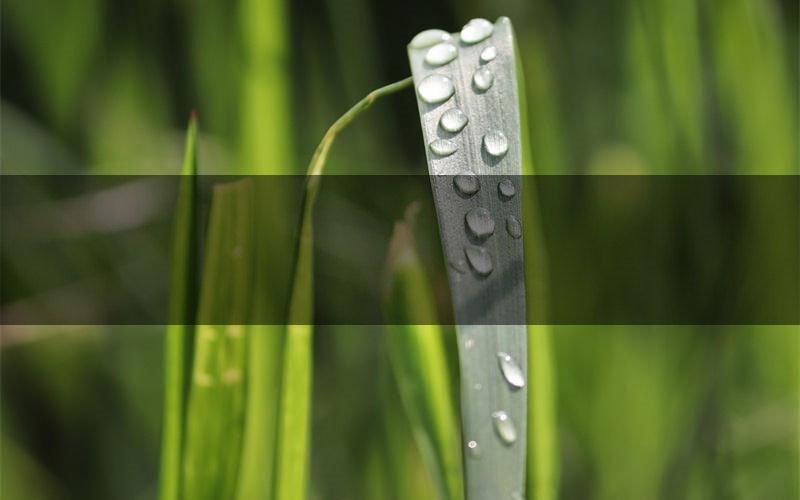 极速狂飙剧本案件线索（极速狂飙结局故事复盘）