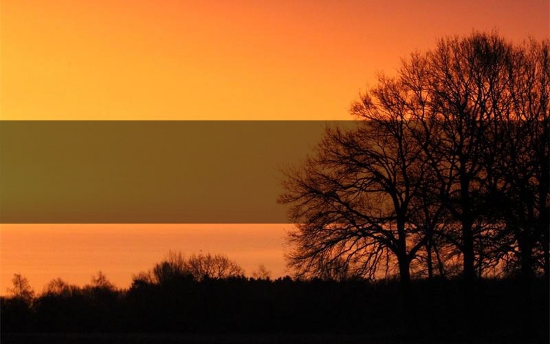 最后的战役·万灵归战角色C位推荐(最后的战役·万灵归战剧本杀真相剧透)