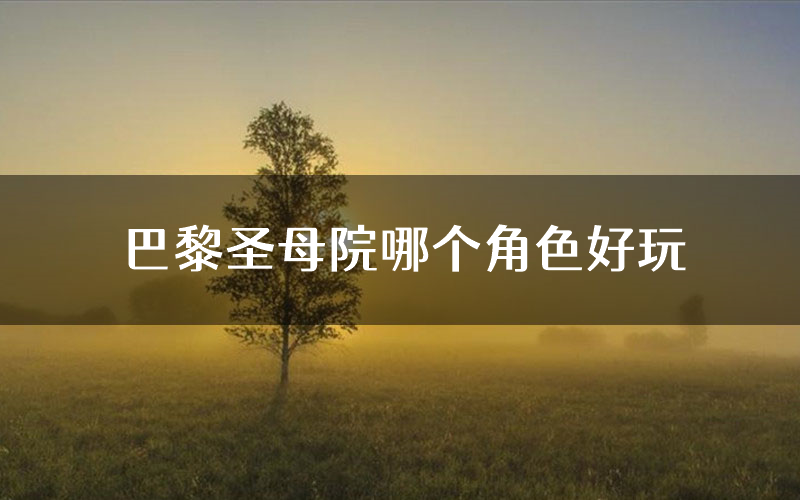 巴黎圣母院哪个角色好玩(巴黎圣母院值得玩吗)