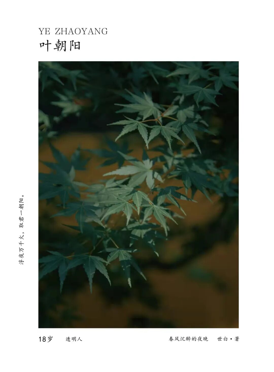 叶朝阳
