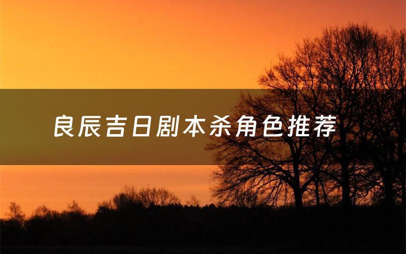 良辰吉日剧本杀角色推荐（良辰吉日凶手是谁）