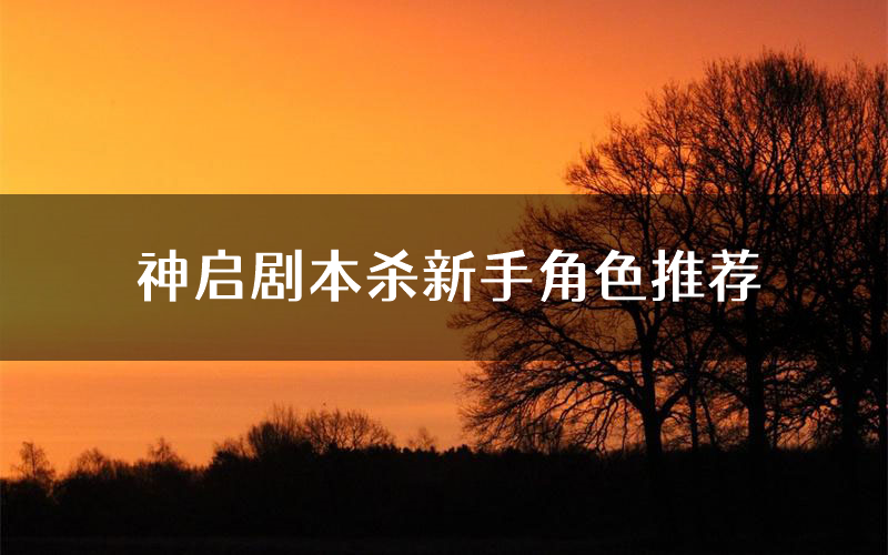 神启剧本杀新手角色推荐(神启凶手位是谁)