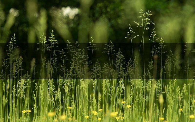 几千春新本案件攻略(几千春真相推理要点)