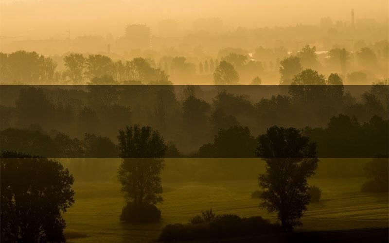 东京怪谈:福岛原爱海洋馆角色C位推荐(东京怪谈:福岛原爱海洋馆剧本杀真相剧透)