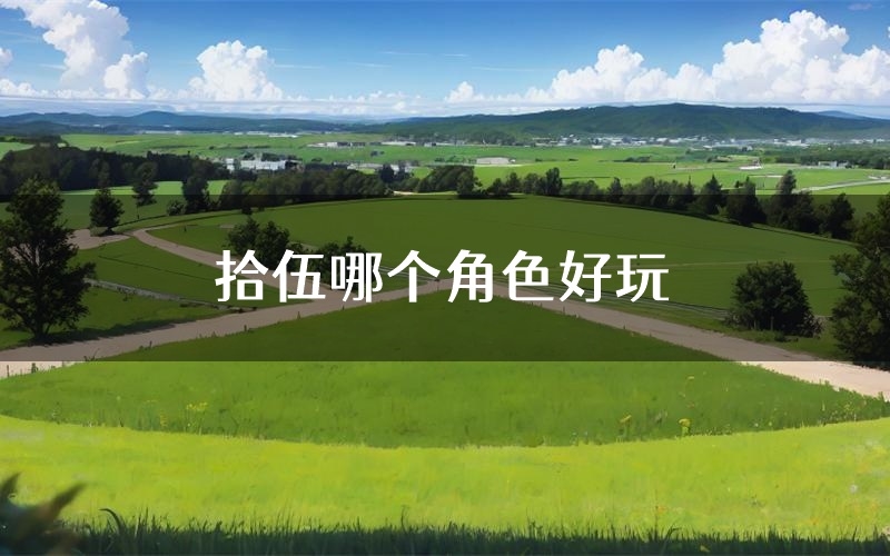 拾伍哪个角色好玩（拾伍值得玩吗）