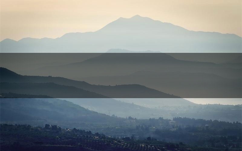 R.O.S.E剧本杀怎么推理（R.O.S.E凶手任务剧透）