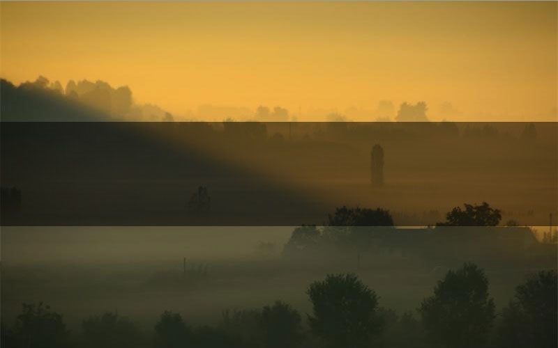 梧桐2须尽欢剧本杀怎么推理(梧桐2须尽欢凶手任务剧透)