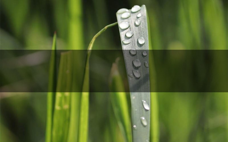 大阪之役剧本案件线索(大阪之役结局故事复盘)