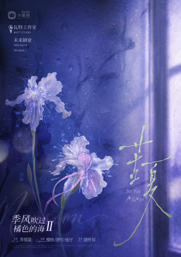 季风吹过橘色的海2苦夏