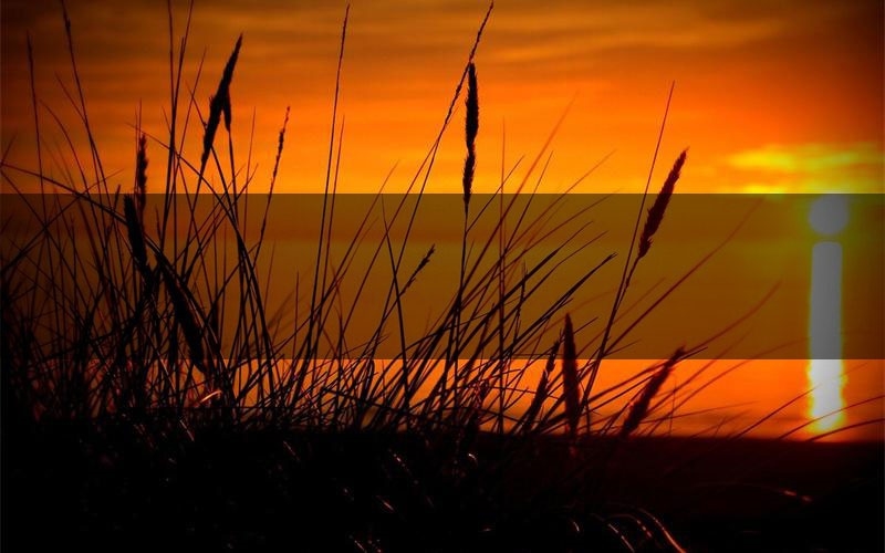 倾于缝隙之眸解析疑点推理（倾于缝隙之眸新本亮点）