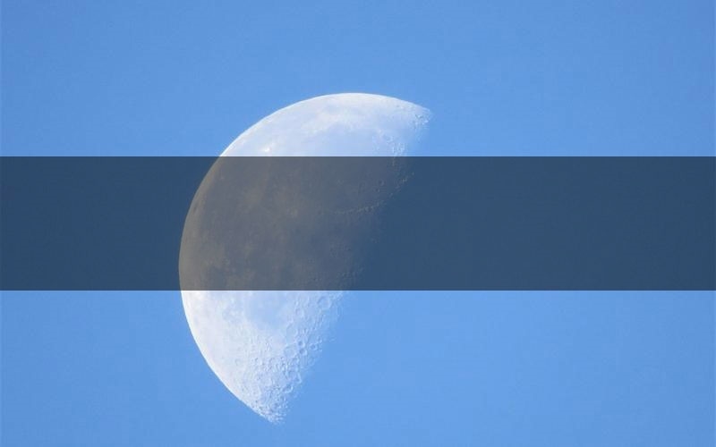 中彩票剧本杀新手角色推荐（中彩票凶手位是谁）