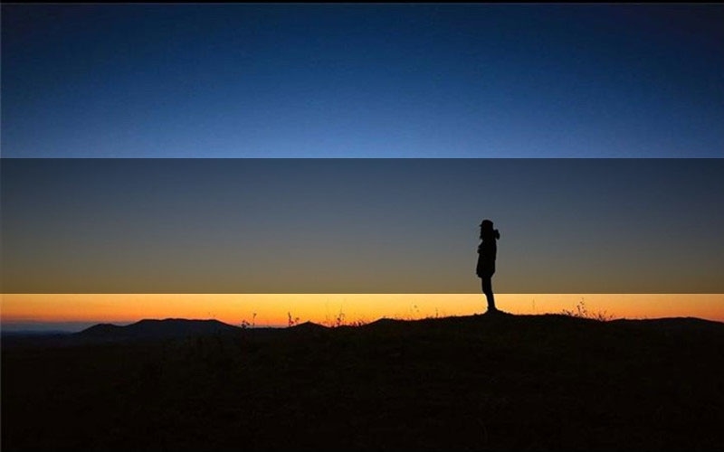 再见黎明剧本杀复盘答案（再见黎明推理探案体验）