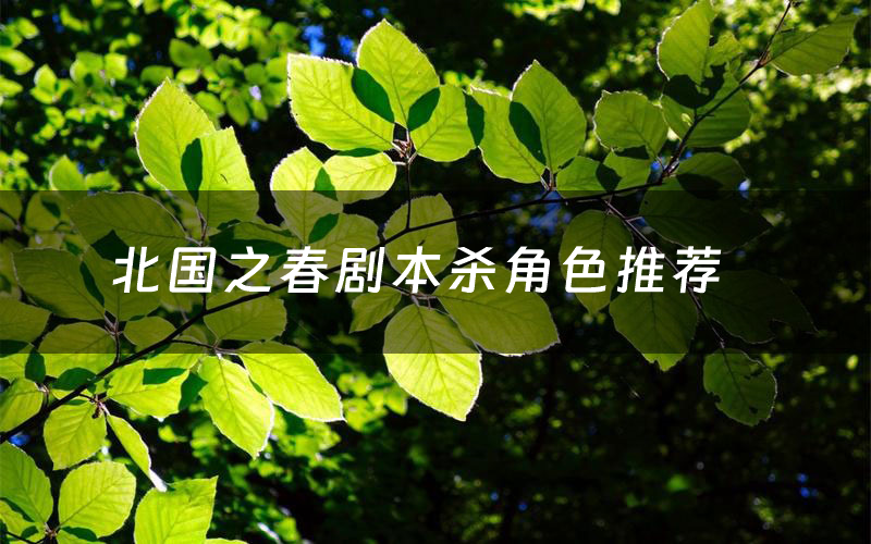 北国之春剧本杀角色推荐(北国之春凶手是谁)