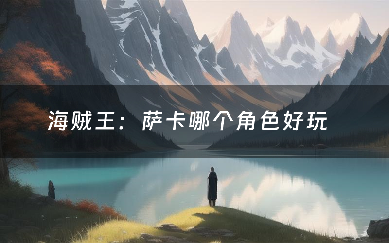 海贼王:萨卡哪个角色好玩(海贼王:萨卡值得玩吗)